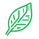 Logo Compassionate AI