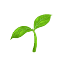 Logo de l'outil IA Trazable Copilot - Decod.tech